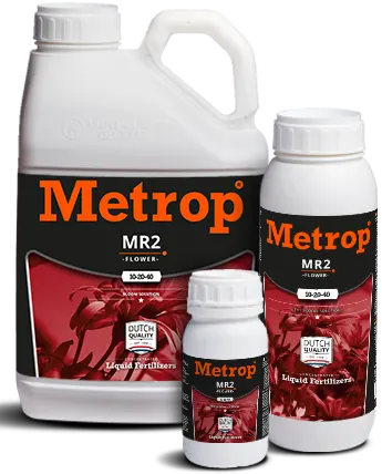 Metrop MR2 Bloeivoeding